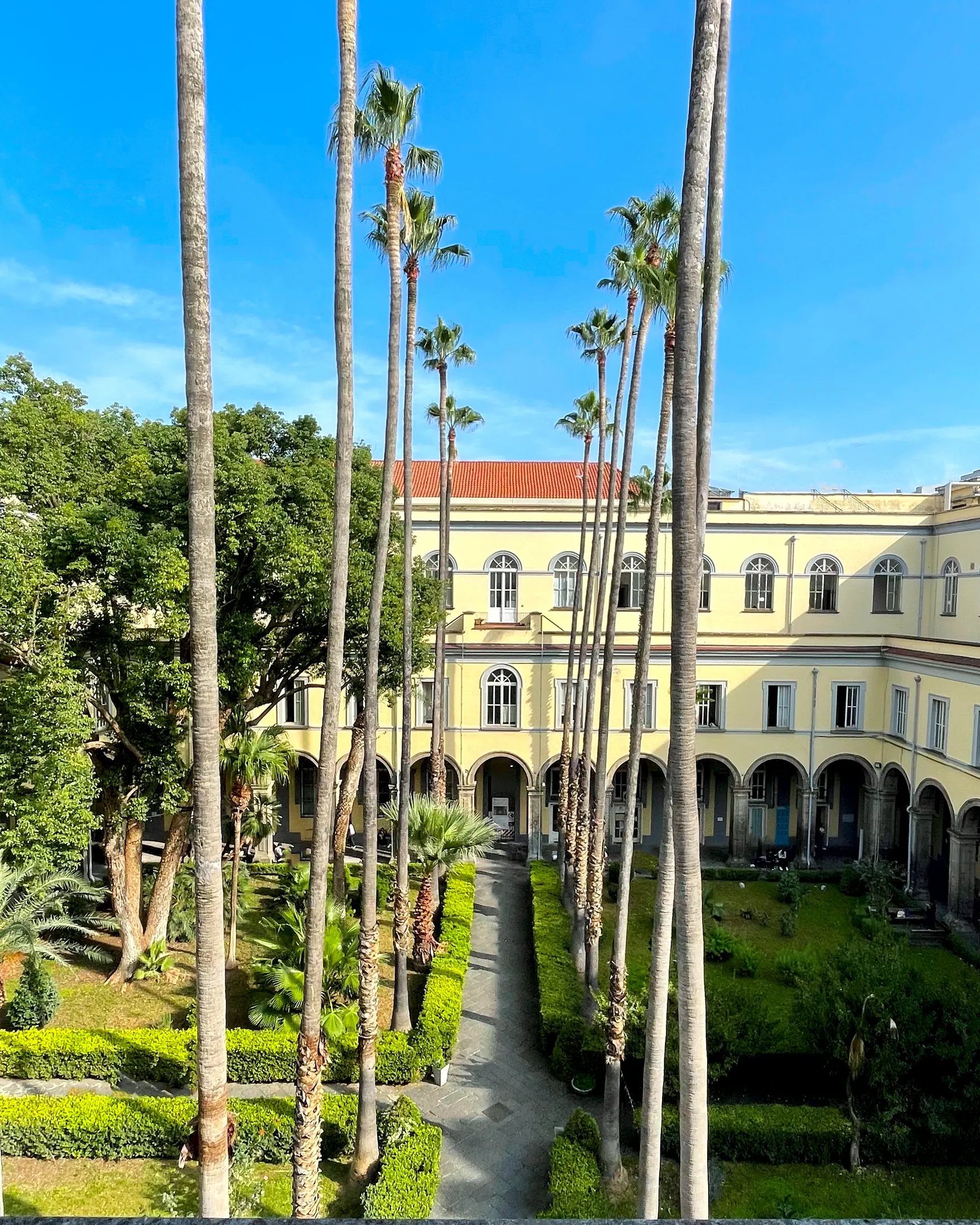 Università degli Studi della Campania Luigi Vanvitelli